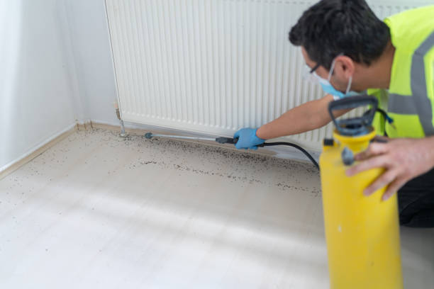 Best Residential Pest Control  in Calumet City, IL